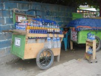 /album/dili-/dsc06459-jpg/