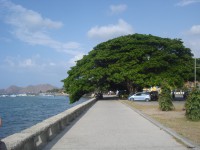 /album/dili-/dsc07094-jpg/