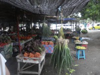 /album/dili-/dsc00925-jpg/