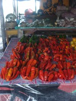 /album/dili-/dsc00929-jpg/