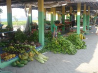 /album/dili-/dsc06813-jpg/