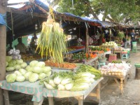 /album/dili-/dsc06825-jpg/