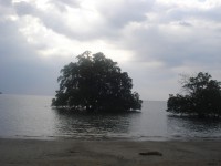 /album/biologia-/dsc06569-jpg/