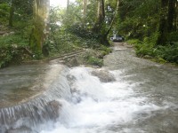 /album/biologia-/dsc05778-jpg/