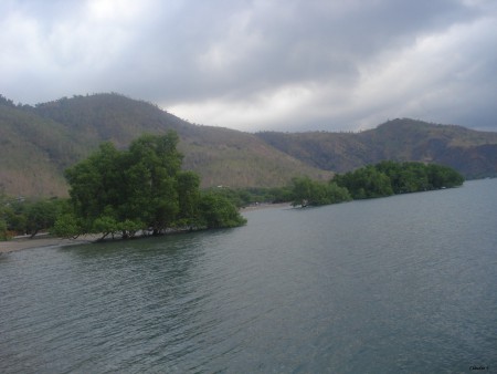 Mangal - Díli; @2012